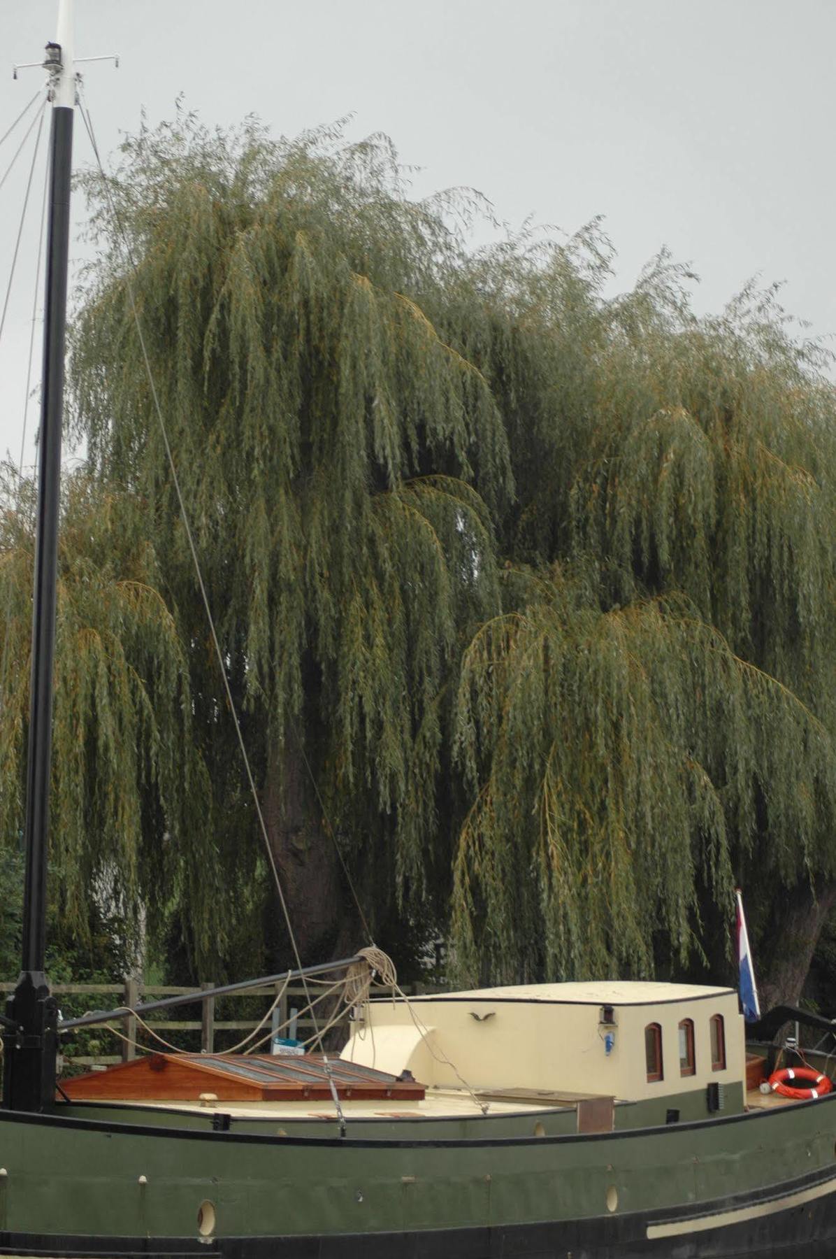 Hotel Barge Waternimf Ely Bagian luar foto